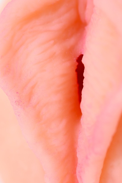 800x1200-0afe0c1d038eb2570e4aa2a9a5b4add2