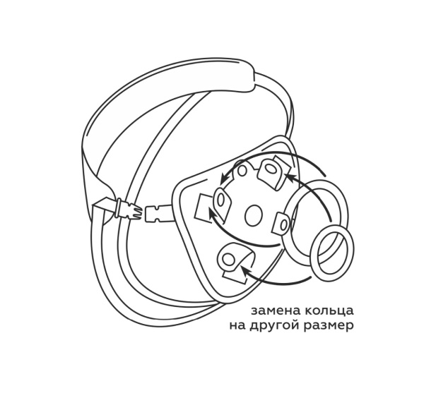 lt-sxema-kolcza1