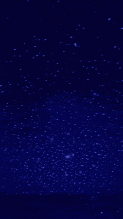 91458_48235